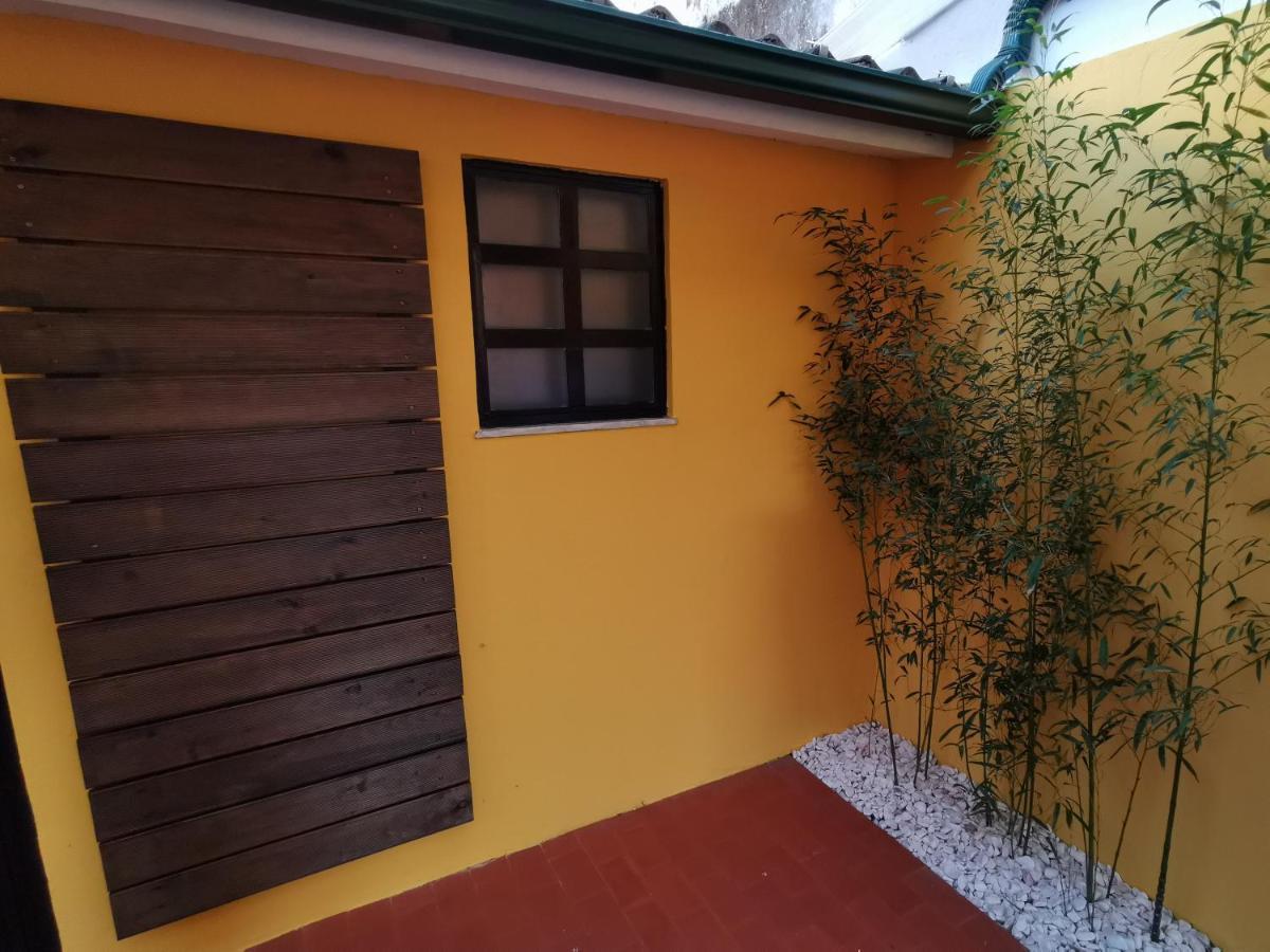 Villa Coimbra - Casa Inteira Zewnętrze zdjęcie